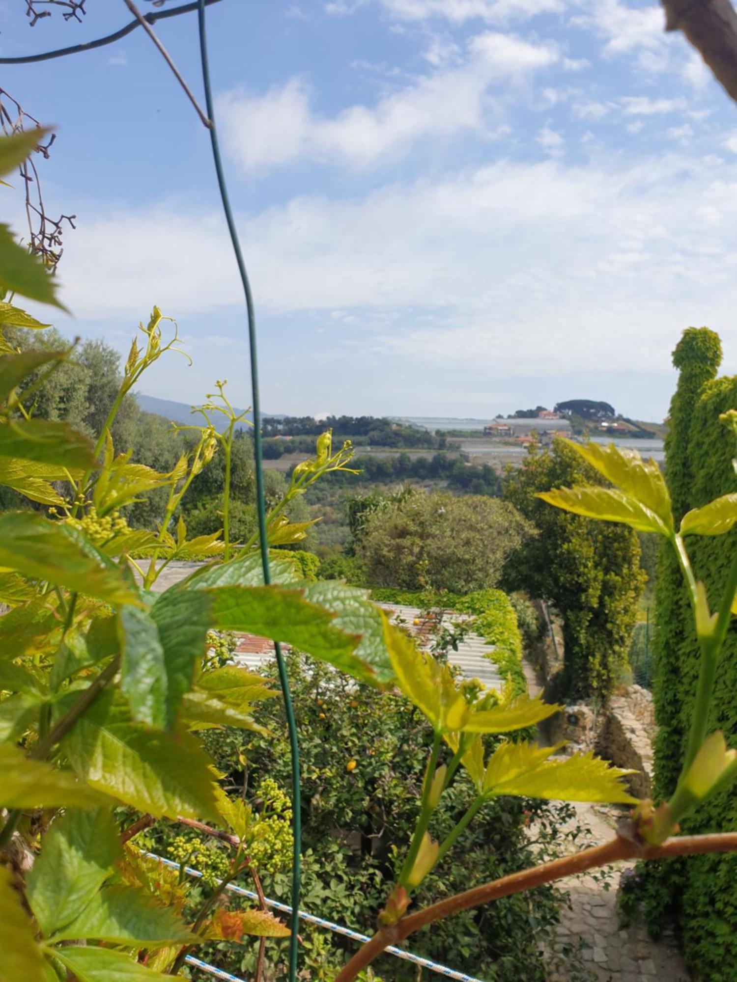 Casa Di Ingrida Bussana Vecchia Villa Sanremo Bagian luar foto