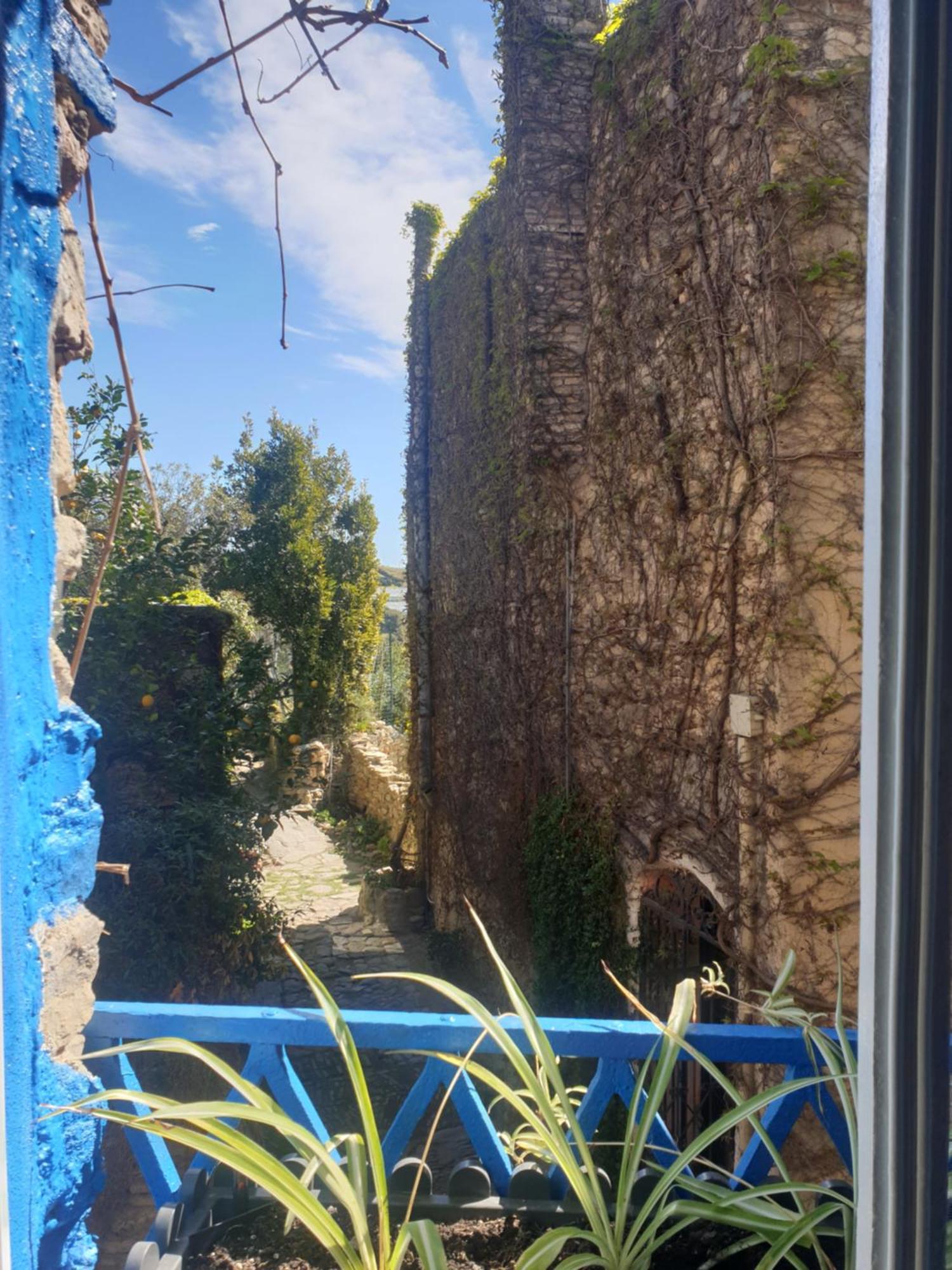 Casa Di Ingrida Bussana Vecchia Villa Sanremo Bagian luar foto